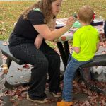 article image - lion2